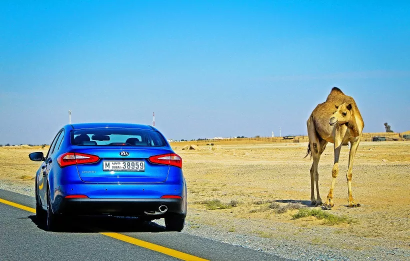 2015 Kia Cerato 1.6L Top
