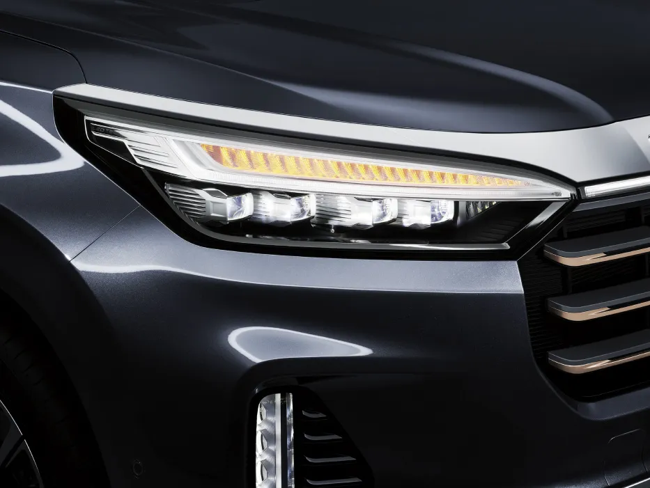 2024 Exeed VX 2.0T-GDI Black Gold